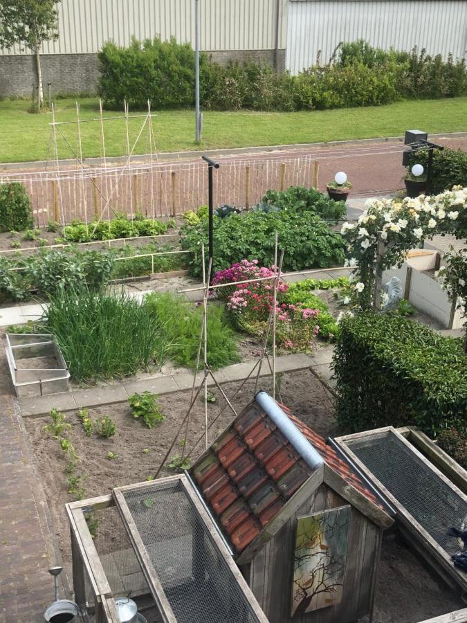 Bij Van Der Veer Julianadorp Extérieur photo